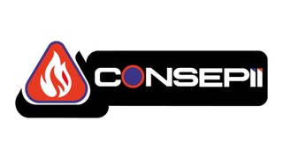Consepii